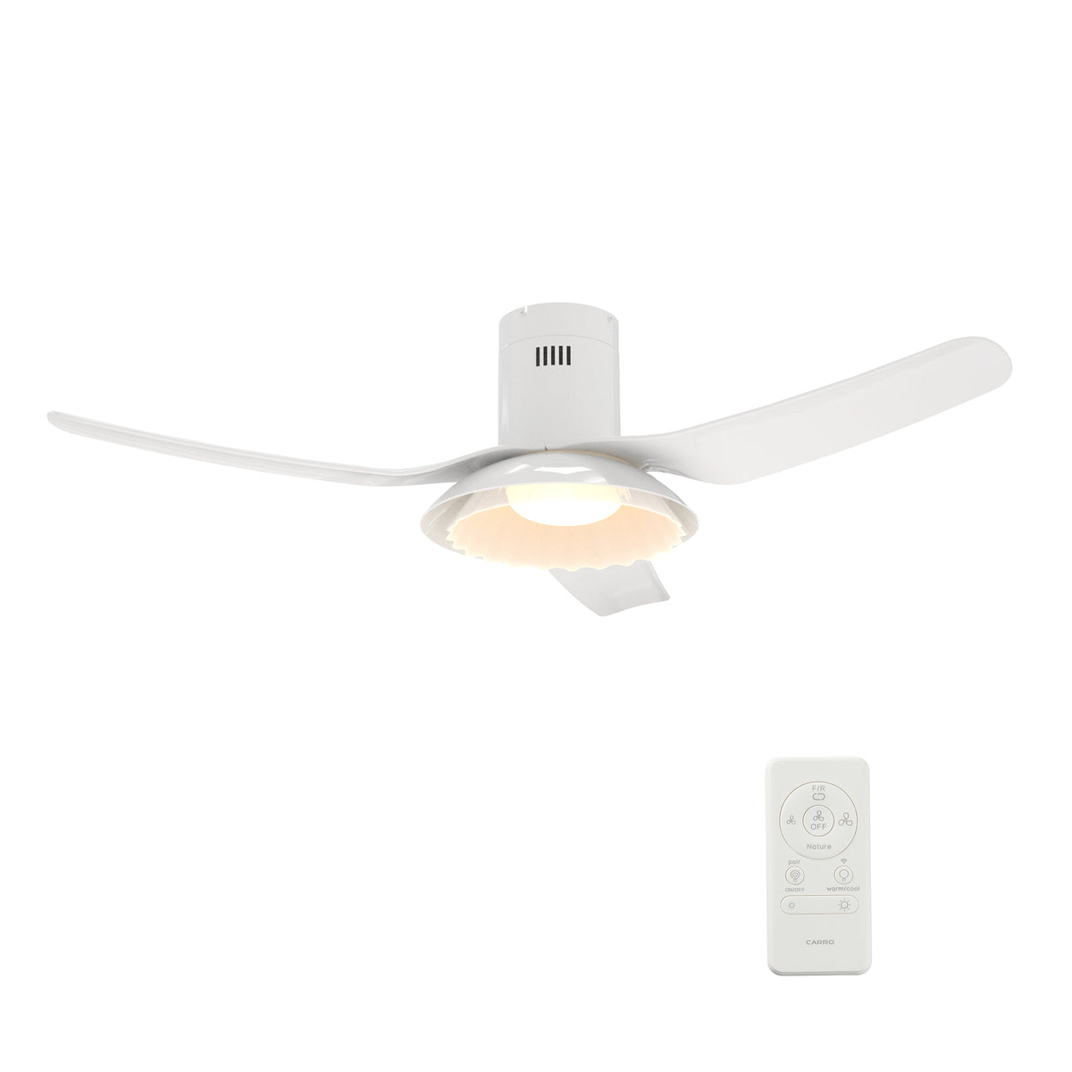 DAFFODIL -  Replacement Mouting Plate
