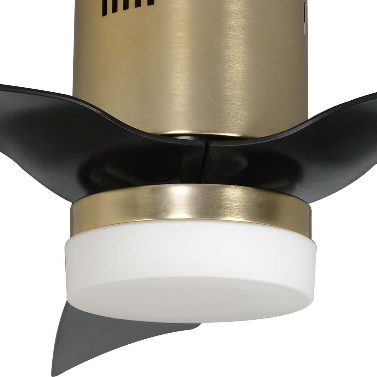SPEZIA- Replacement Motor - Gold