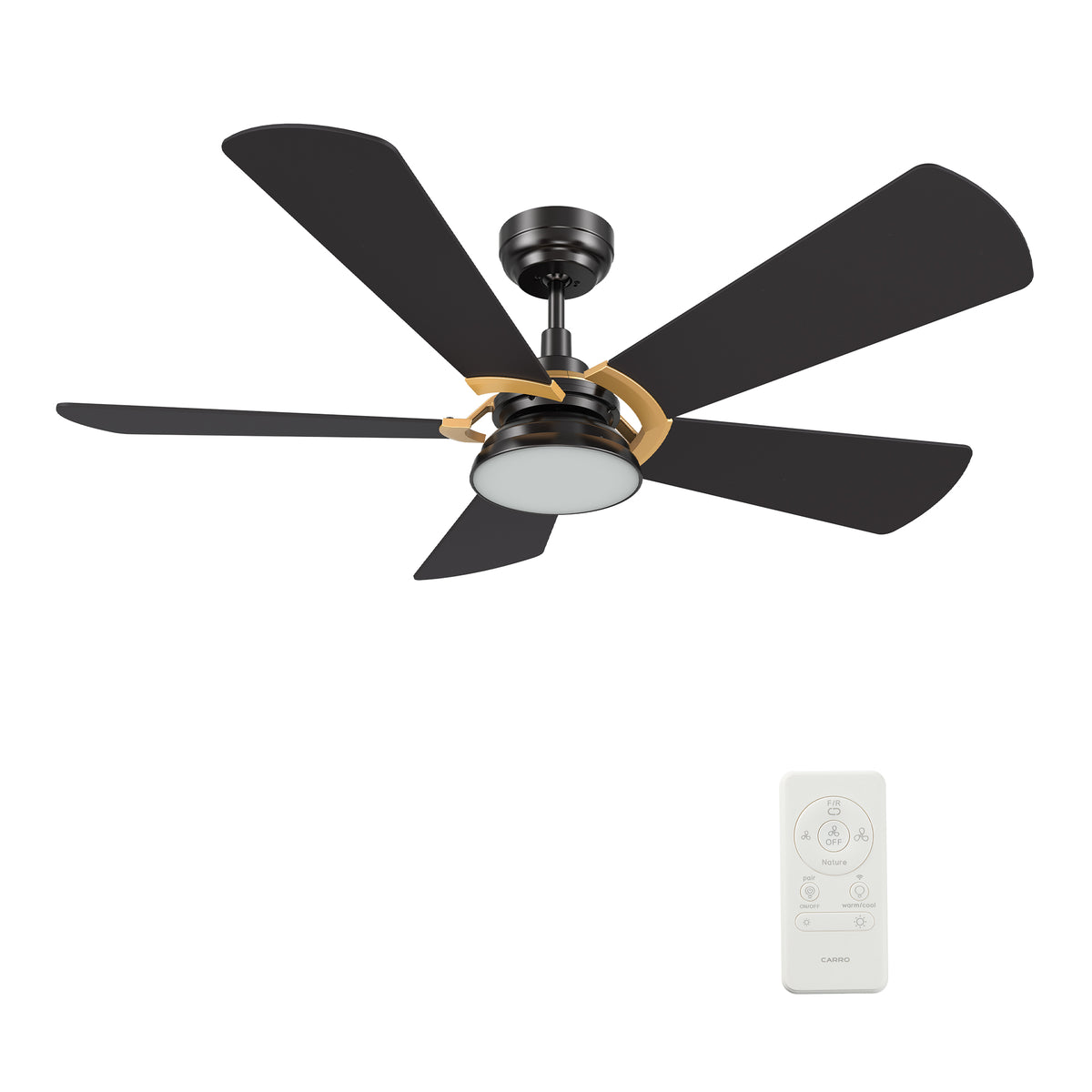 Carro SAVILI 52 inch 5-Blade Smart Ceiling Fan with LED Light Kit & Remote Control- Black/Black (Gold Details)