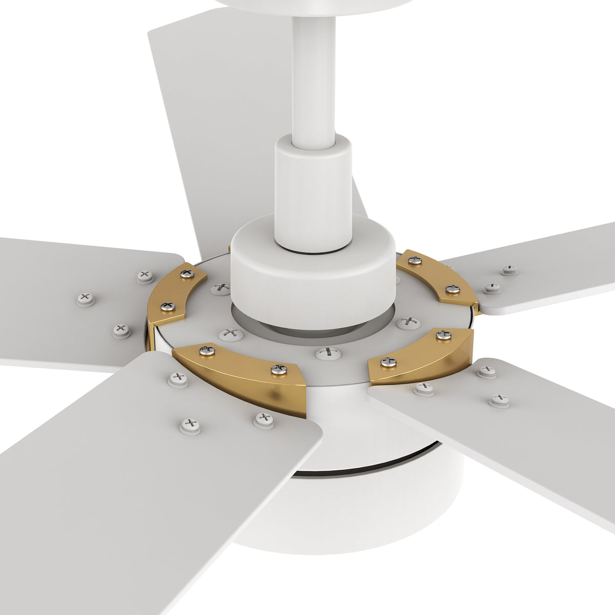 Carro TARRASA 52 inch 5-Blade Smart Ceiling Fan with LED Light Kit & Remote Control- White/White (Gold Details)