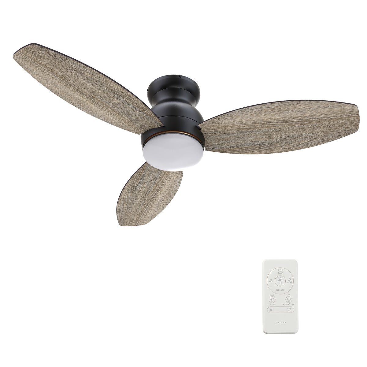 Carro TRENTO 60 inch 3-Blade Smart Ceiling Fan with LED Light Kit & Remote- Black/Walnut & Light Wood (Reversible Blades)